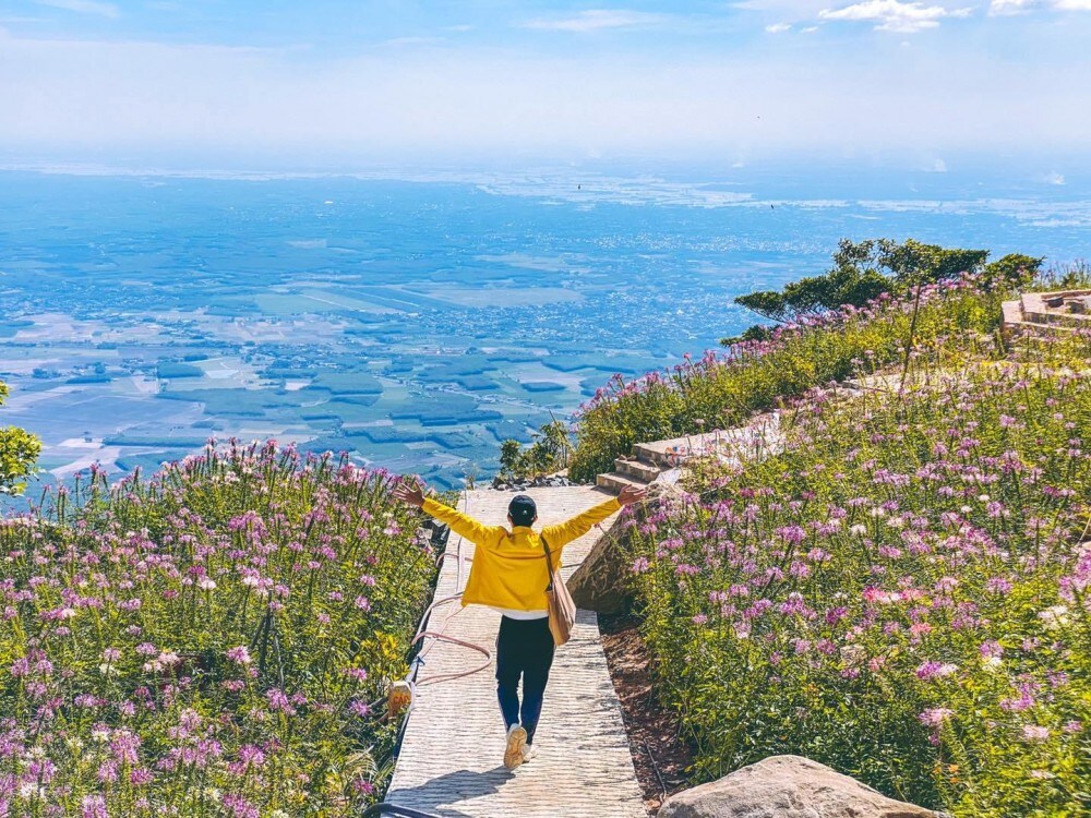 Khu vực Đỉnh Vân Sơn